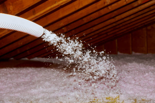Best Insulation Maintenance and Repair in Culpeper, VA