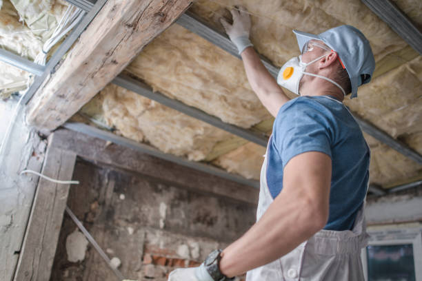 Best Energy Efficiency Solutions in Culpeper, VA