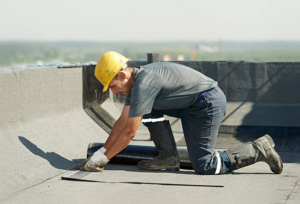 Best Specialty Insulation in Culpeper, VA