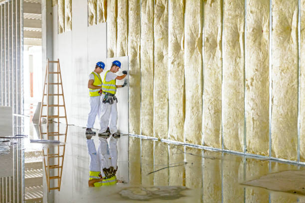 Types of Insulation We Offer in VA